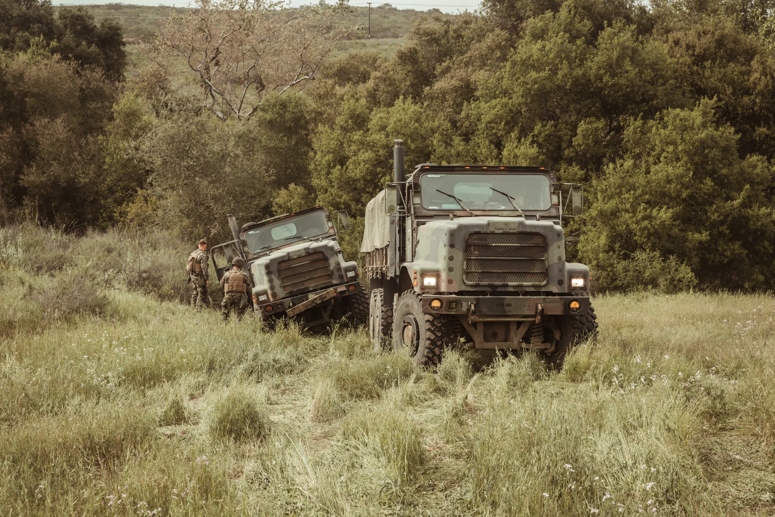 Two military vehicles in field